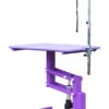 Aeolus Classic Z Shape Electric Lifting Table - Medium [Purple] -Pet Grooming Discounts T FT802E PP