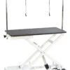 Aeolus Low-Low Electric Lifting Table Eco Version -Pet Grooming Discounts T FT808 ECO