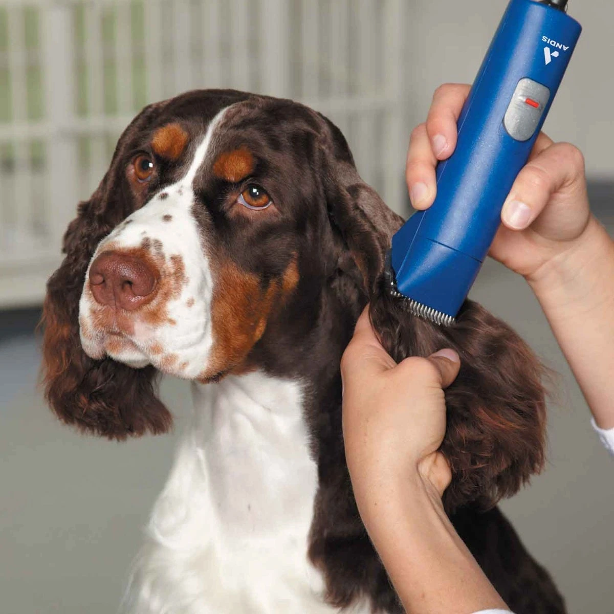 Andis UltraEdge 2-Speed Clipper With #10 Blade 4 Andis UltraEdge 2-Speed Clipper With #10 Blade - Image 2