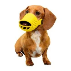 Artero Silicone Muzzles Set Of 4 -Pet Grooming Discounts amuzzle 2 1 1