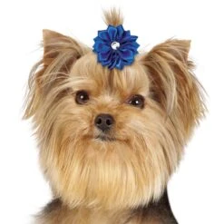 Aria Rhinestone Rainbow Bows 100ct 11 Aria Rhinestone Rainbow Bows 100ct -Pet Grooming Discounts dt0091 99 005