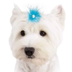 Aria Sparkle Feather Bows 100-Piece Canisters -Pet Grooming Discounts dt1058 99 007