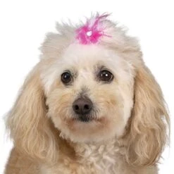 Aria Feather Bow Canister 100Pc -Pet Grooming Discounts dt160 99 007