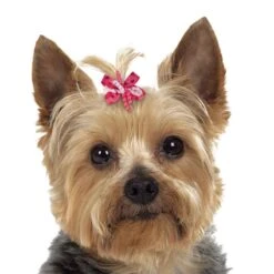 Aria Mia Dog Bow Canister 48Pc -Pet Grooming Discounts dt3324 48 003