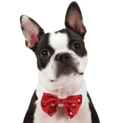 Aria Red And Black Bowtie Clip Strips 12-Piece -Pet Grooming Discounts dt5210 12 1