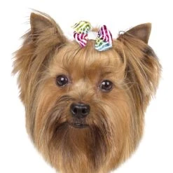 Aria Zoey Bows Canister, 48 Pc -Pet Grooming Discounts dt5642 48 003