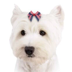 Aria Americana Pup Bow Canister 48 Pieces -Pet Grooming Discounts dt6241 48 003