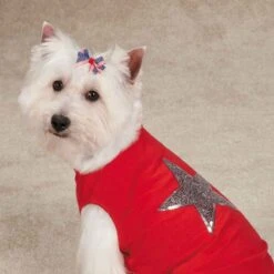 Aria Americana Pup Bow Canister 48 Pieces -Pet Grooming Discounts dt6241 48 004