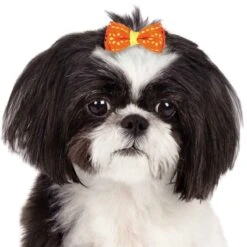 Aria Sunshine Bow Canisters 40 Pcs -Pet Grooming Discounts dt9516 40 003 1