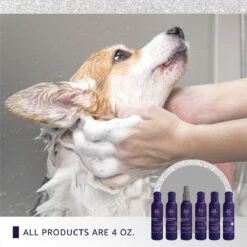 Hydra Experience Sample Set10:1 -Pet Grooming Discounts hsample 05