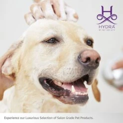 Hydra Experience Sample Set10:1 -Pet Grooming Discounts hsample 06