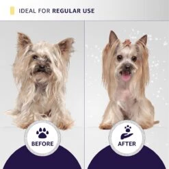 Hydra Experience Sample Set10:1 -Pet Grooming Discounts hsample 08