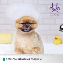 Hydra Flash Thermo Active Mask 13 Hydra Flash Thermo Active Mask -Pet Grooming Discounts hthermomask 06