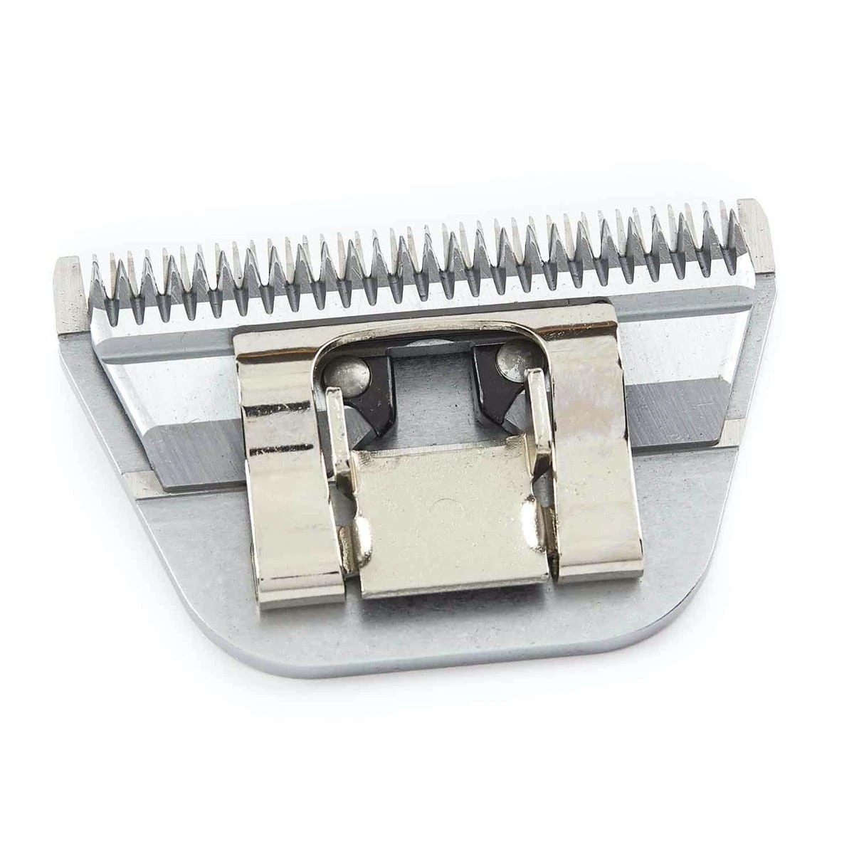 Master Grooming Tools GroomSharp Steel Wide Blades 15W 5 Master Grooming Tools GroomSharp Steel Wide Blades 15W - Image 3