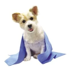 Top Performance Drying And Cooling Towel -Pet Grooming Discounts tp2086 19 dogsitting 1