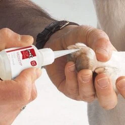 Top Performance MediStyp Liquid Super Sealer 9 Top Performance MediStyp Liquid Super Sealer -Pet Grooming Discounts tp45498 0 1