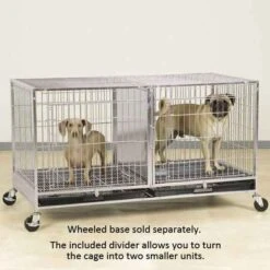 ProSelect Modular Cage W/Plastic Tray Stainless Steel -Pet Grooming Discounts zw5500 87 3