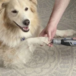 Dremel Cordless Variable Speed Nail Grinder Kit -Pet Grooming Discounts zw7760 36b