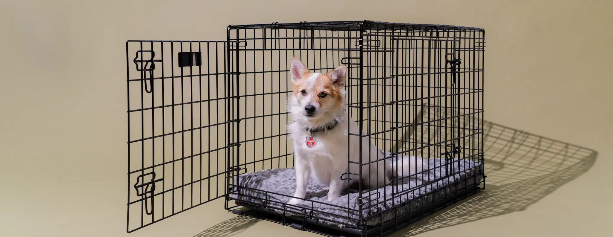 Pet Grooming Discounts -Pet Grooming Discounts 1